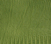 Apple Green American Lizard Swatch